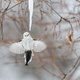 Lil birb
